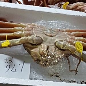 極だめ