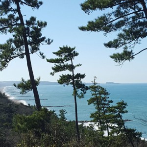 好天の海